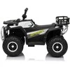 Važiuoklė Quad ATV Robust 01 Baltas