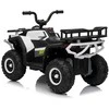 Važiuoklė Quad ATV Robust 01 Baltas
