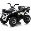 Važiuoklė Quad ATV Robust 01 Baltas