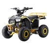 1Deame Benzininis keturratis 110CC EXPLORER, Geltona