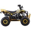 1Deame Benzininis keturratis 110CC EXPLORER, Geltona