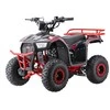 1Deame Benzininis keturratis 110CC EXPLORER, Raudona