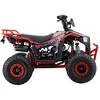 1Deame Benzininis keturratis 110CC EXPLORER, Raudona