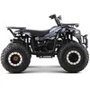 1Deame Benzininis keturratis 200CC MONSTER, Juodas
