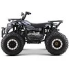 1Deame Benzininis keturratis 200CC MONSTER, Juodas