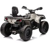 Quad Can Am Outlander ATV Pilka