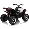 Elektrinis keturratis Fast Wheel, Baltas