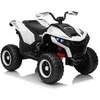 Elektrinis keturratis Fast Wheel, Baltas