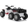Dvivietis elektrinis keturratis Extreme Sport TX ATV 4x4, Baltas