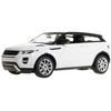 RASTAR automodelis valdomas RC 1:14 Range Rover Evoque, 47900