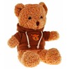 Ramiz Bear Meškiukas