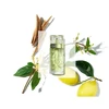 Kvepalai moterims Lancôme Ô de Lancôme EDT, 125 ml