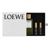 Kvepalų rinkinys vyrams Loewe Esencia EDP, 100 ml + Esencia EDP, 10 ml + Solo EDP, 10 ml