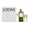 Kvepalų rinkinys vyrams Loewe Esencia EDP, 100 ml + Esencia EDP, 10 ml + Solo EDP, 10 ml
