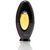 Paloma Picasso Paloma Picasso EDT tualetinis vanduo moterims, 100 ml