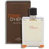 Hermes Terre D'hermes EDT tualetinis vanduo vyrams, 200 ml