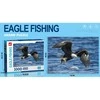 Dėlionė Jigsaw Puzzle Eagle Fishing, 1000 det