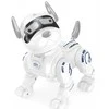 Išmamusis šuo robotas su RC