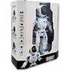 Programuojamas nuotolinio valdymo robotas