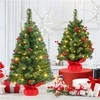 Yaheetech 60 cm aukščio stalo Kalėdų eglutė su 35 LED lemputėmis (Nemokamas pristatymas)