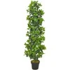 Dirbtinis augalas-lauramedis su vazonu, žalios spalvos, 150cm