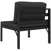 Dvivietė sodo sofa su pagalvėlėmis, antracito, aliuminis