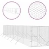 Lauko voljeras šunims, sidabrinis, 2x14x2m, plienas