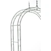 Mville „Rose Arch Lenz“ – senovinė žalia