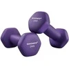Songmics 2 violetinės spalvos hantelių rinkinys