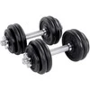 Songmics 30 kg reguliuojamų hantelių rinkinys