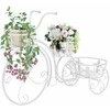 Stovas augalams, dviračio formos, vintažinio stiliaus, metalas