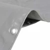Tentas, pilkos spalvos, 4x6m, 650g/m²