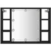 Veidrodinė spintelė su LED apšvietimu, juoda, 76x15x55cm