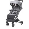 4 BABY vežimėlis TWIZZY XXIII Pilkas