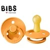 BIBS 100219 ABRIKOSŲ S čiulptukas