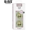 BIBS 110281 DUO COLOURS SAGE S čiulptukas