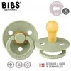 BIBS 110281 DUO COLOURS SAGE S čiulptukas