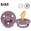 BIBS 211300 MAUVE M ANATOMINIS ČIULPTUKAS