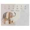 CEBA 309-000-781 Nuotraukų kilimėlis 92x72 Basic Elephant Family