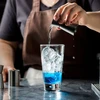 Barmenų rinkinys didelis, 9 dalių kokteilių plaktuvo rinkinys, nerūdijančio plieno baro įrankių rinkinys su bambuko stovu, kokteilių rinkinys, barmeno įrankiai