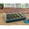 Daigykla Garland, 58x40,5x22,5 cm