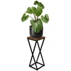 Gėlių stovas Loft Konel Rustic, juodo ąžuolo, 62 cm, augalų stovas, kambarinis stovas, gėlių lentyna