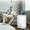 Secco Oro sausintuvas su integruotu siurbliu iki 150 m², 60 L per dieną, Wi-Fi valdymas, „trys viename“ džiovinimas ir oro gryninimas, automatinis oro sausintuvas, drėgmės reguliatorius, buitinis drėgmės surinkėjas