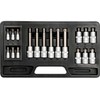 Torx antgalių lizdų rinkinys, 18 vnt., S2 CrV 6150 medžiaga, Torx raktų rinkinys