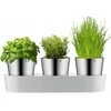 Vazonų rinkinys Wmf, 3 vnt, 12,5x36 cm