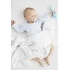 Alilo Króliczek Smarty Bunny R1 geltona