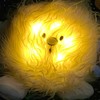 Celestial Buddies Planety Pliažinė Šiaurės žvaigždė
