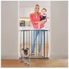 Dreambaby Vaikams AVA Gate (P: 75-81 cm x A: 76) - rutulys