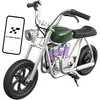 Hyper Gogo Pioneer 12 Plus Motocykl elektrinis su aplikacją - žalia