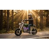 Hyper Gogo Pioneer 12 Plus Motocykl elektrinis su aplikacją - žalia